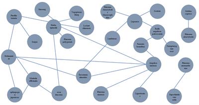 Research progress of plant medicine and Chinese herbal compounds in the treatment of rheumatoid arthritis combined with osteoporosis